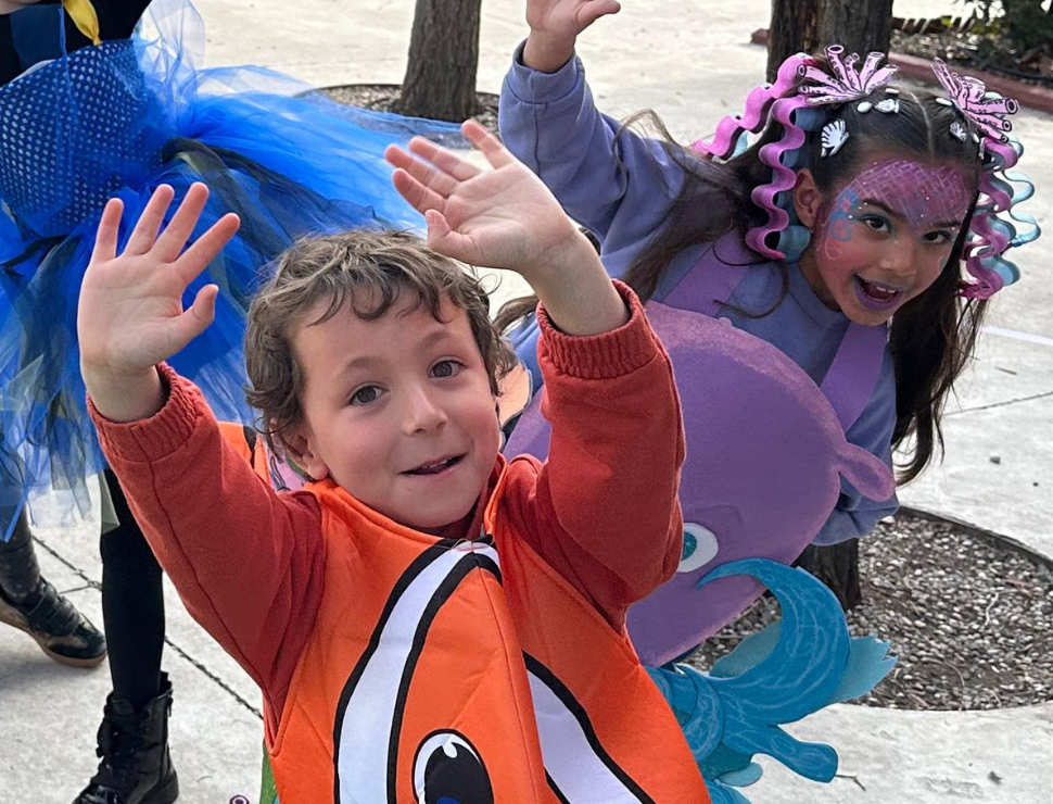 Luces, cámara…¡Convivencia!, Carnaval 2026